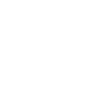 pilot